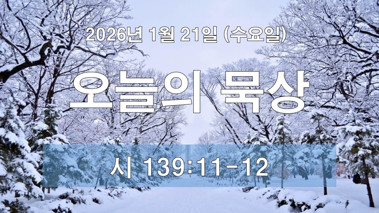 금주의 묵상(1월 21일, 수) : 낮과 밤이 일반이신 하나님(시 139:11-12)