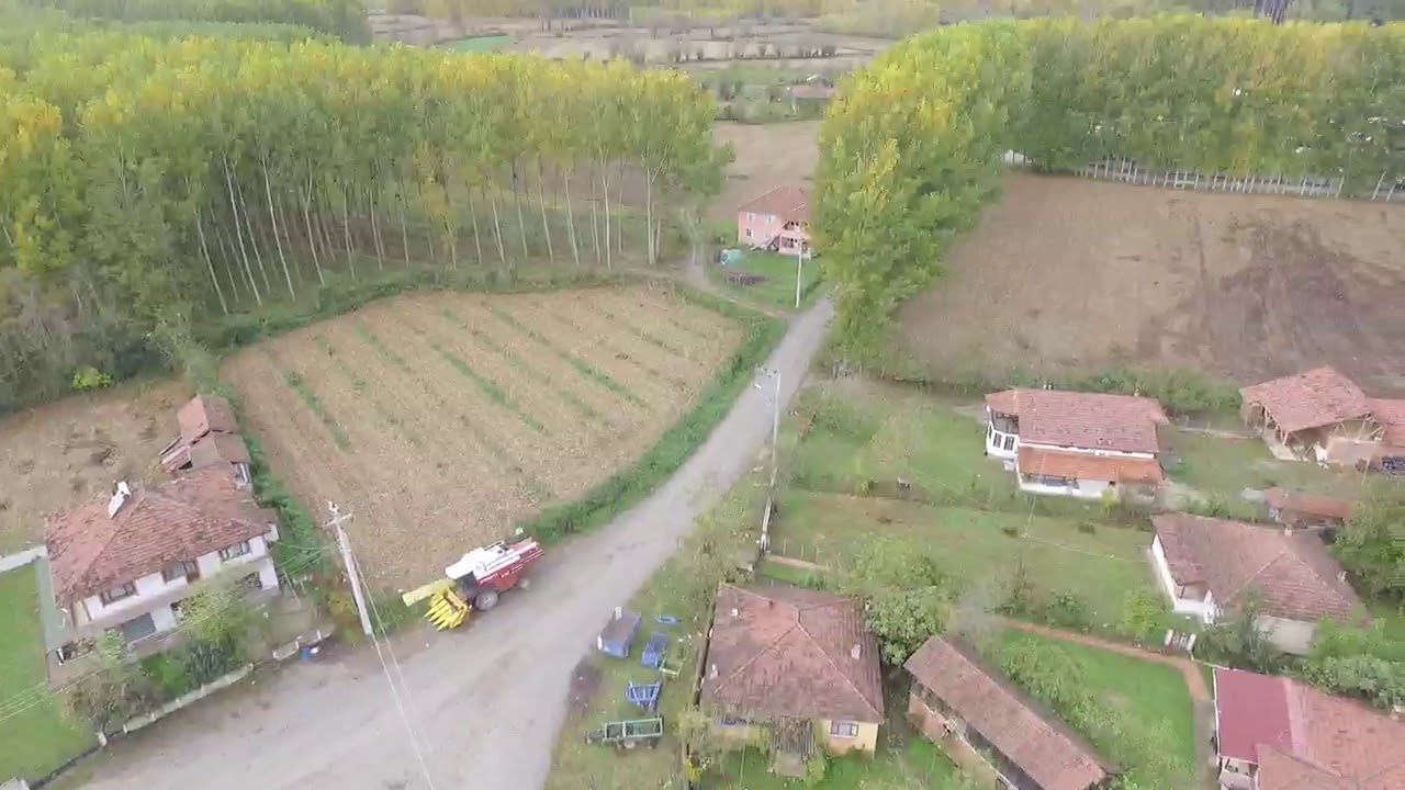 Bedil kazanci