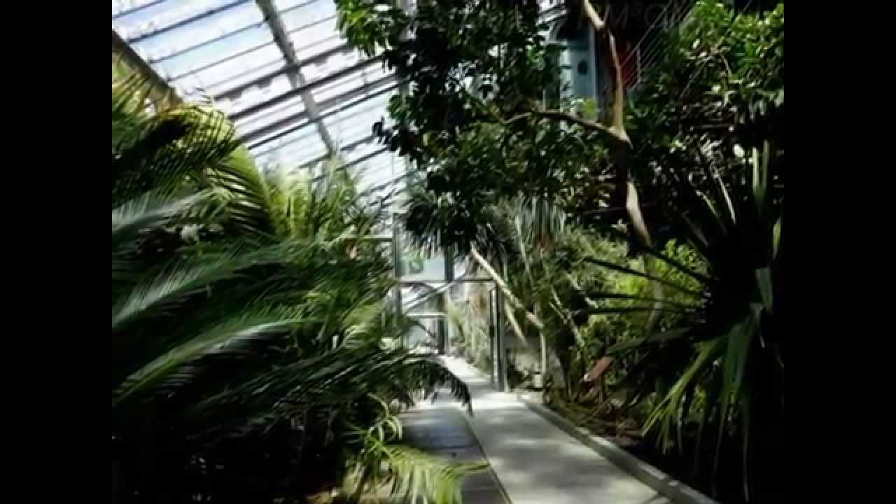 Real Jardin Botánico . Madrid . España