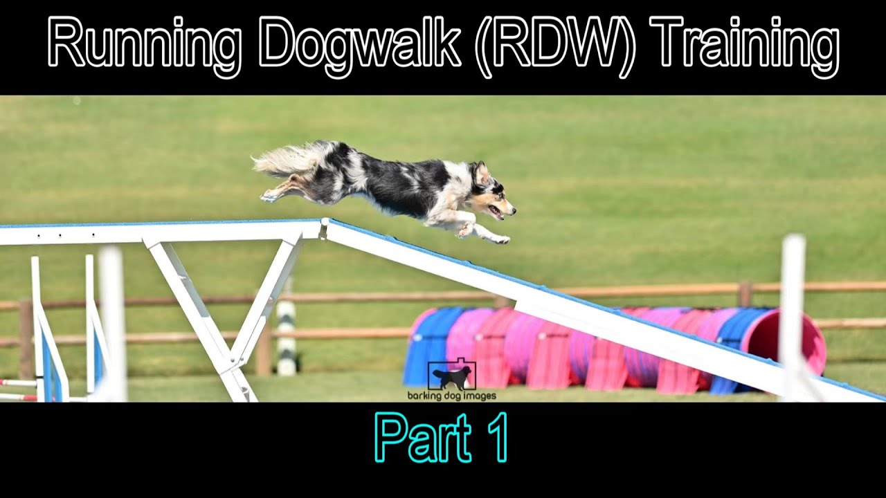 Running Dogwalk (RDW) Part 1