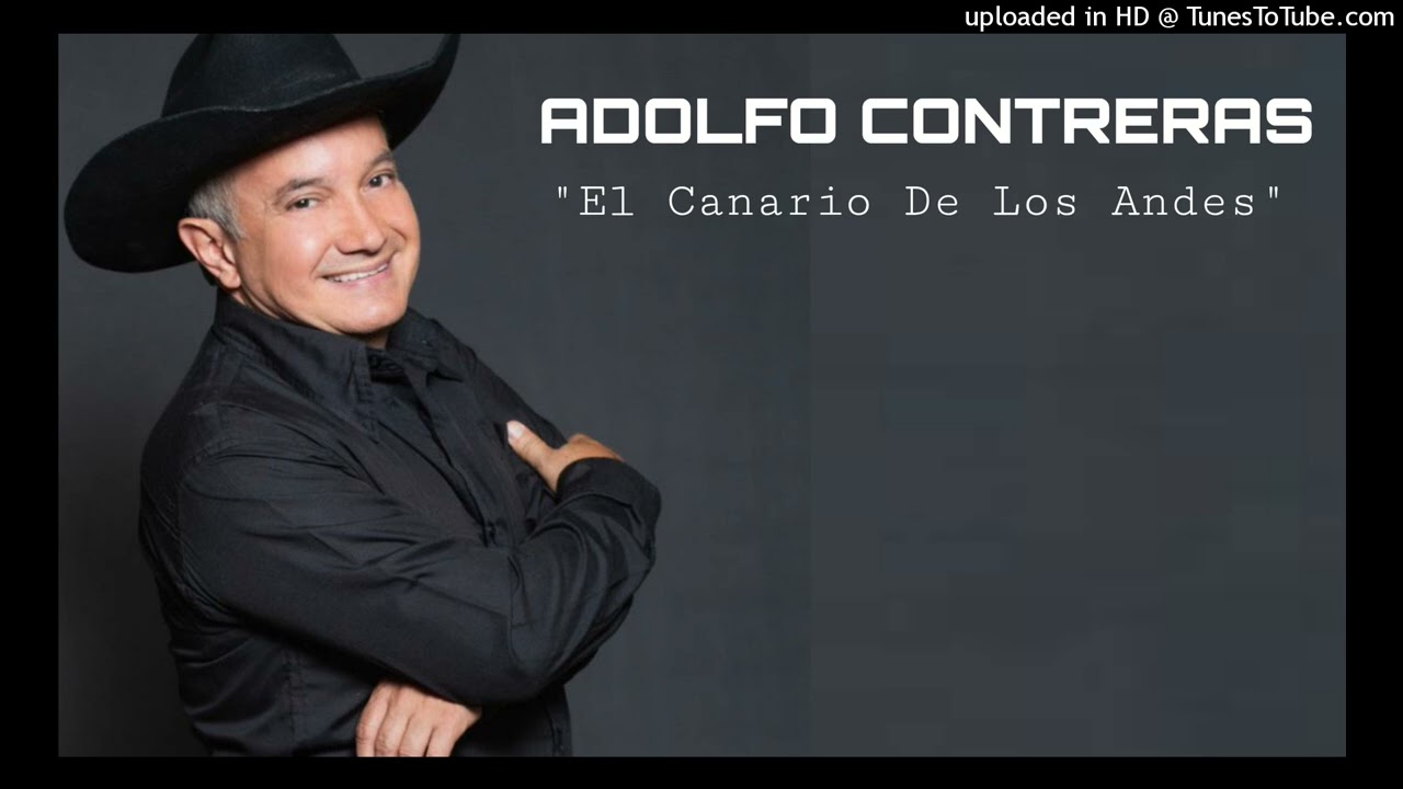 LA TRISTEZA DE UN COPLERO - CANARIO DE LOS ANDES