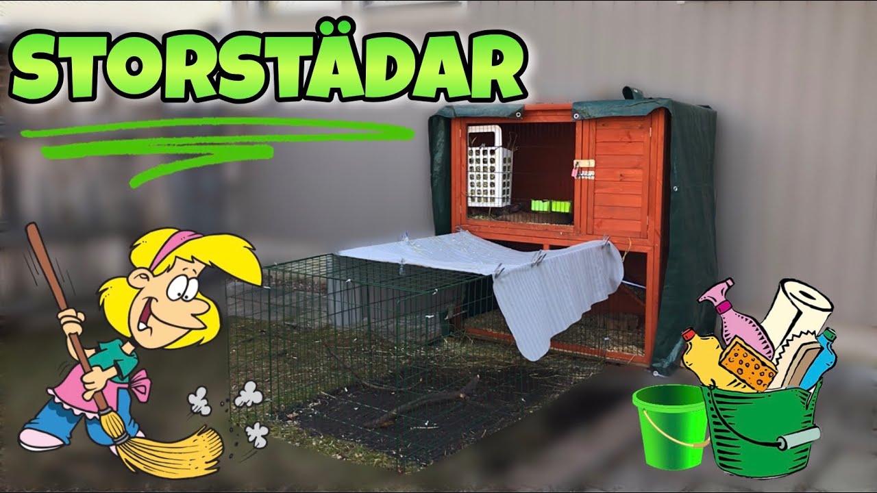 En liten storstädning på kaningården i Sverige