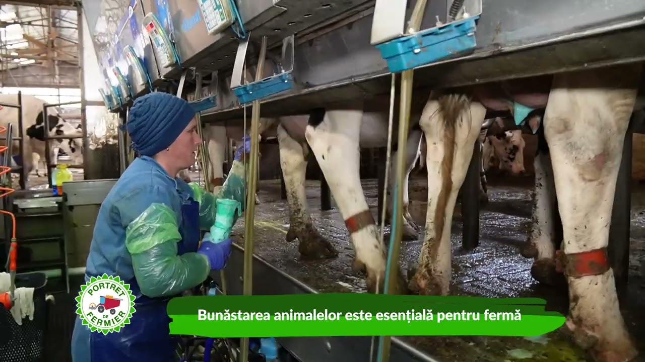 Portret de fermier - Lucian Chelariu Ferma Panifcom Iasi 18 05 2025
