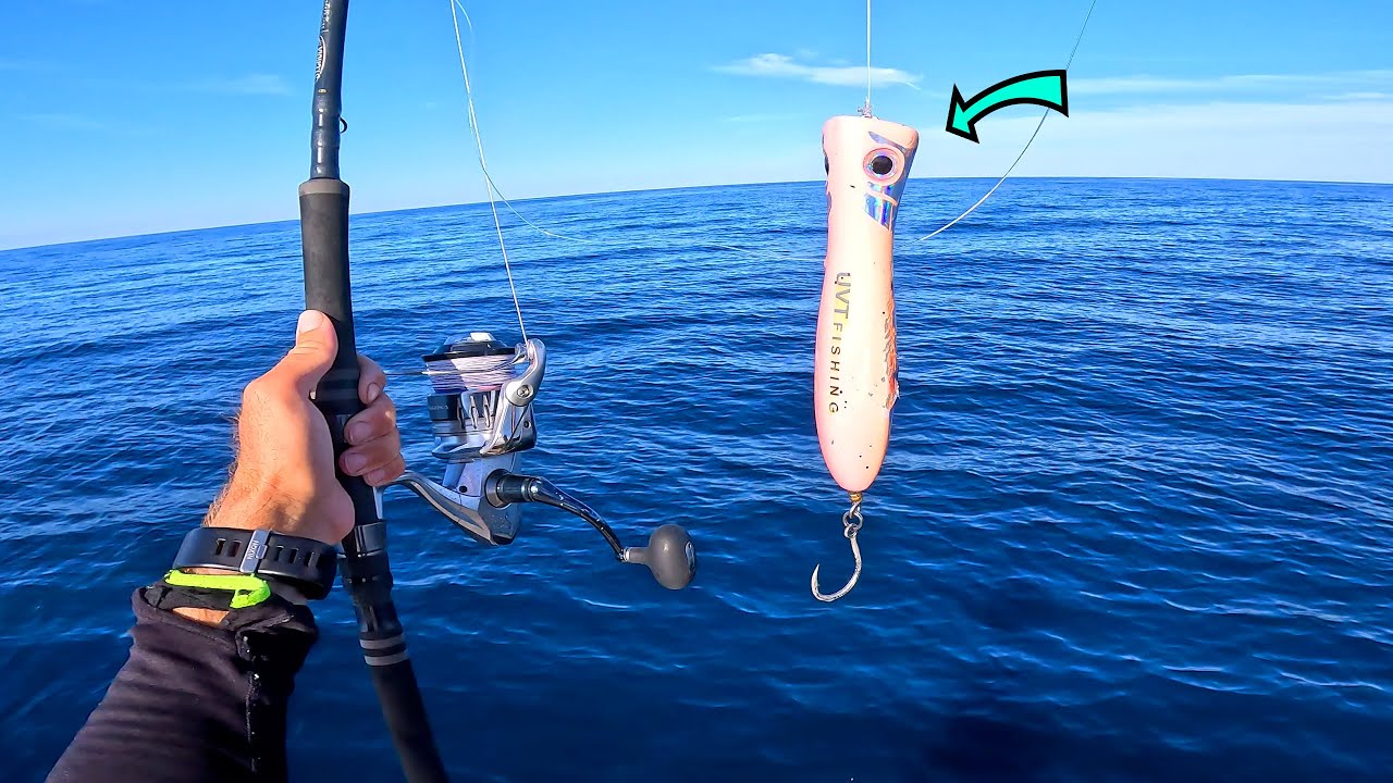 THE FISH TOWED THE BOAT!! Epic Majestic Offshore Big Fish On A Popper - Montauk NY
