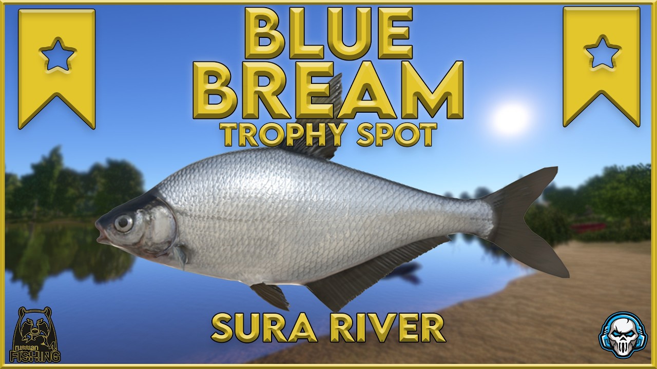 BLUE BREAM TROPHY SPOT! SURA RIVER - Russian Fishing 4 #rf4 #русскаярыбалк