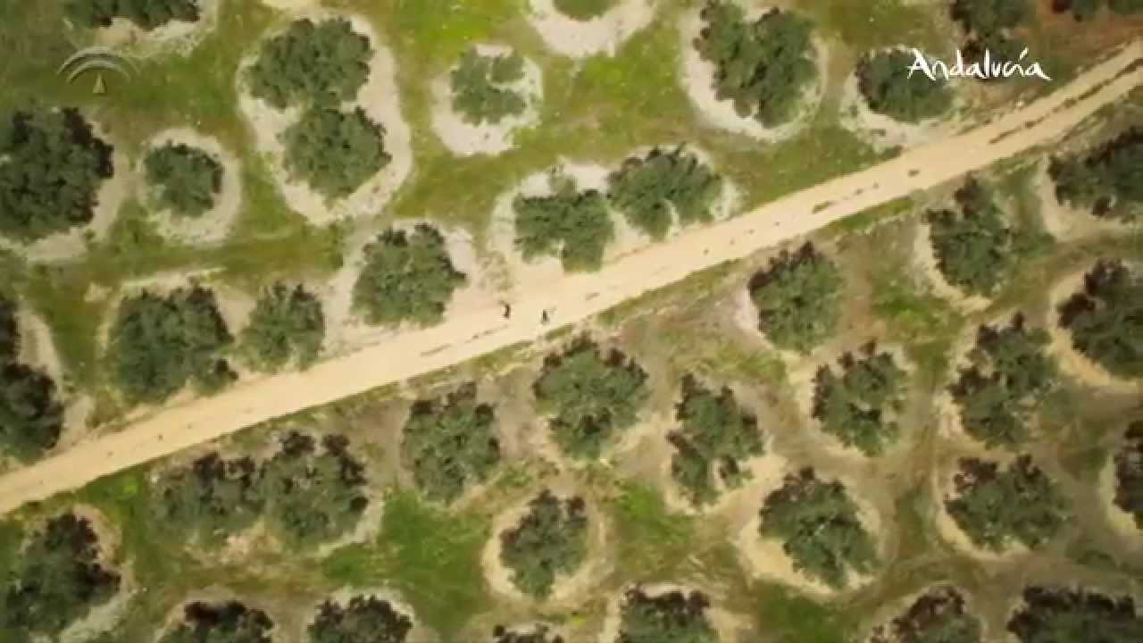 Anuncio Tu mejor tú 3 min. - Turismo de Andalucía