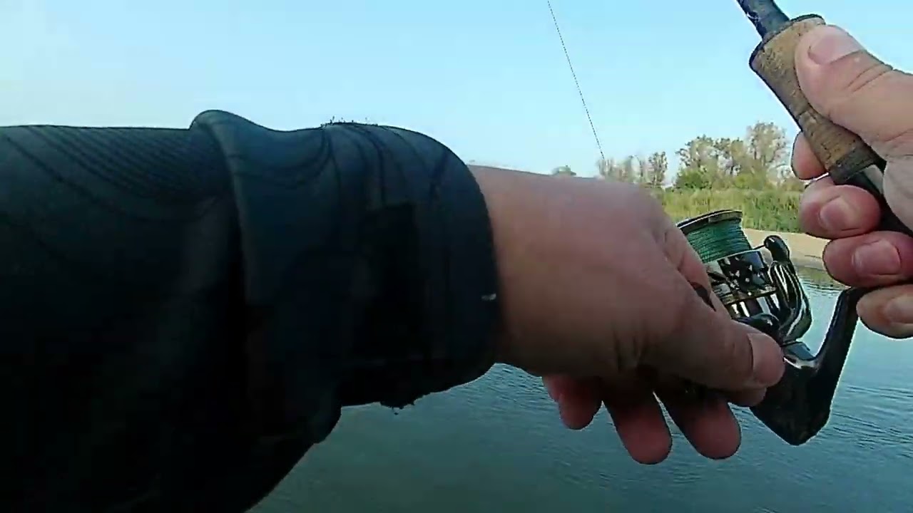 Boleń Szczupak Odra Fishing Krosno Odrzańskie Jesień, #Spinning