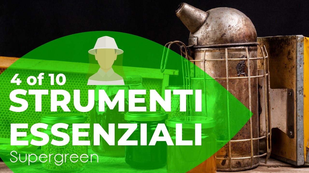 4 of 10 - Strumenti dell'apicoltore - Zigrinatore, affumicatore, apiscampo e maschera di protezione