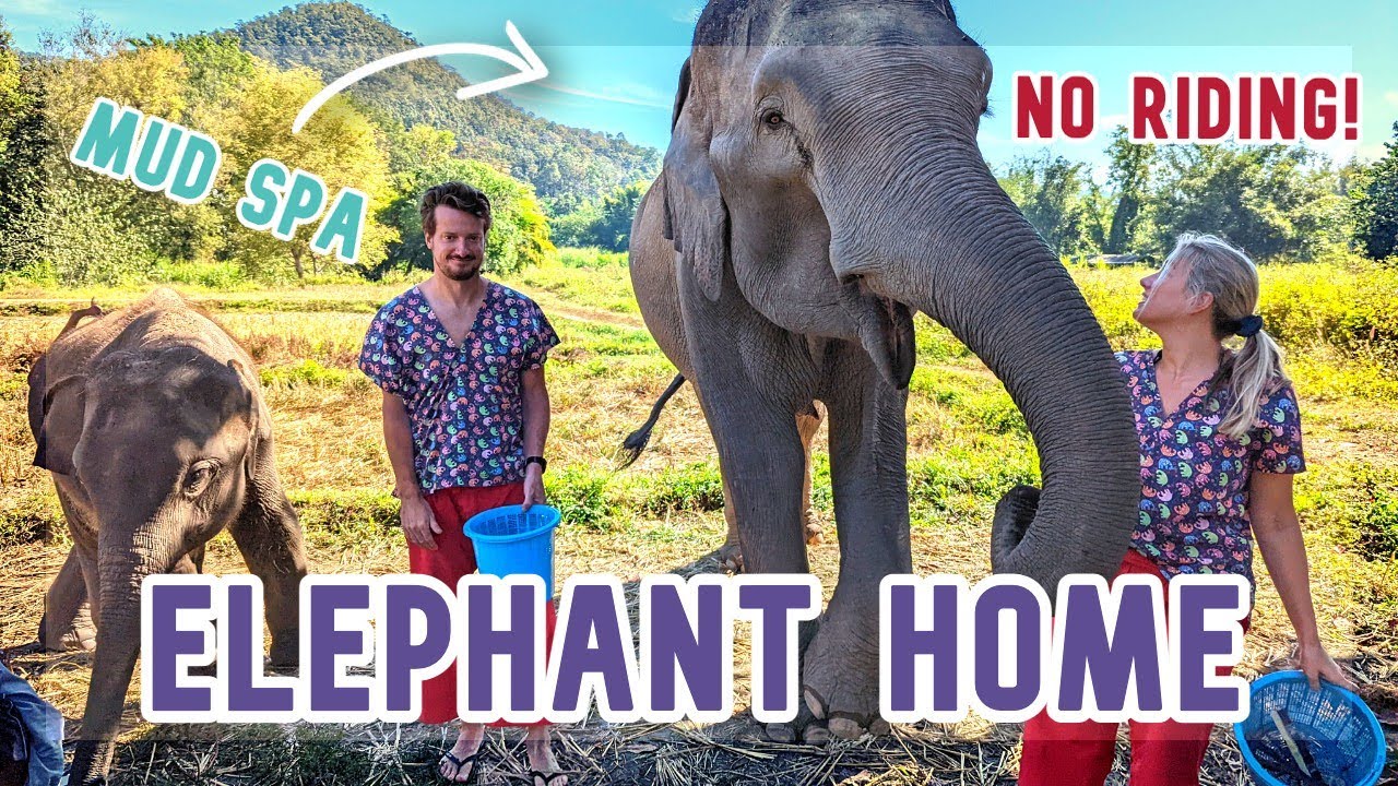 CHIANG MAI ELEPHANT HOME | THAILAND | Spending A WHOLE day with Elephants