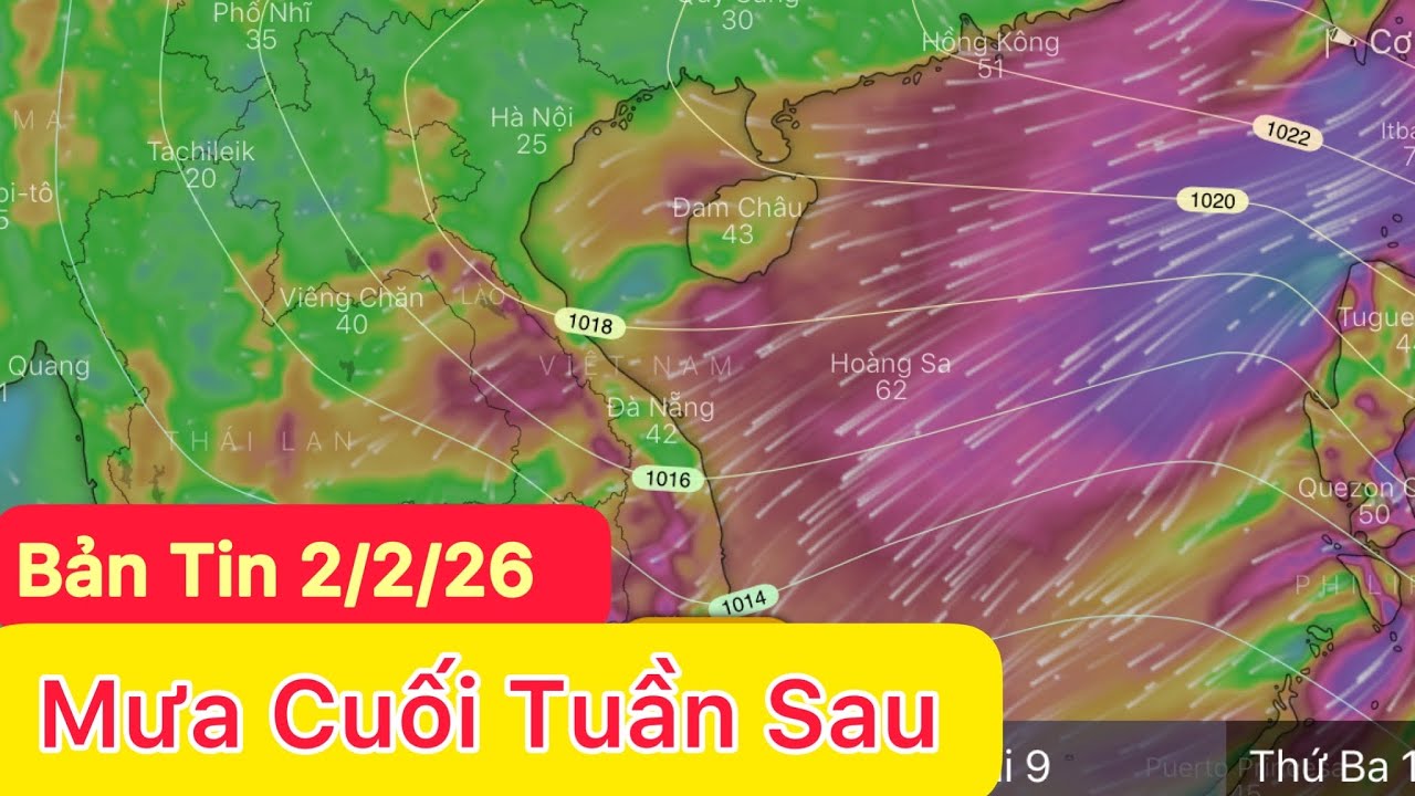 Liên tiếp 2 đợt mưa rét | Thời tiết tuần sau | Dự báo thời tiết hôm và ngày mai 2/2