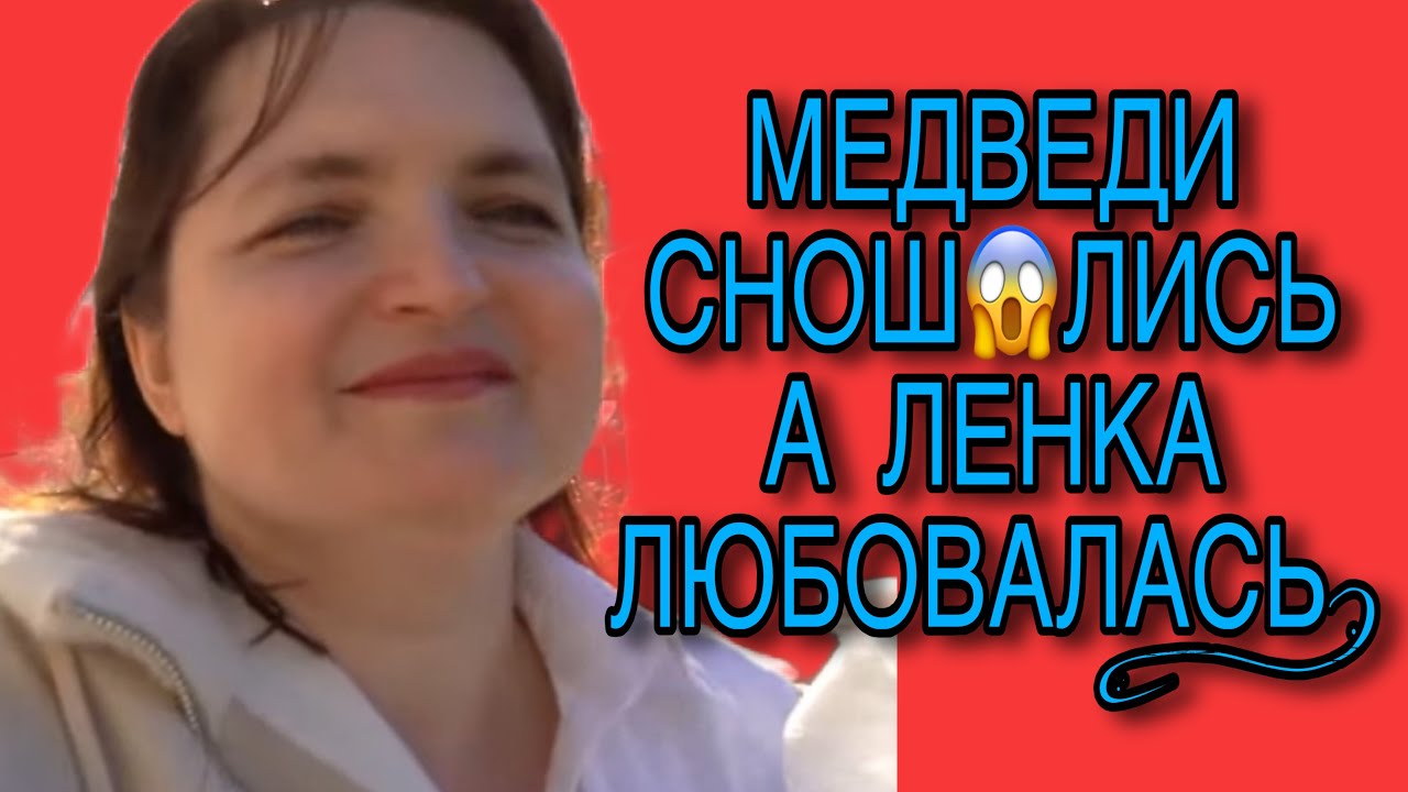 МЕДВЕДИ ВЛЮБЛЯЛИСЬ А БРЕДЯ СМЕЯЛАСЬ. VREDINA LIFE. ОБЗОР. 