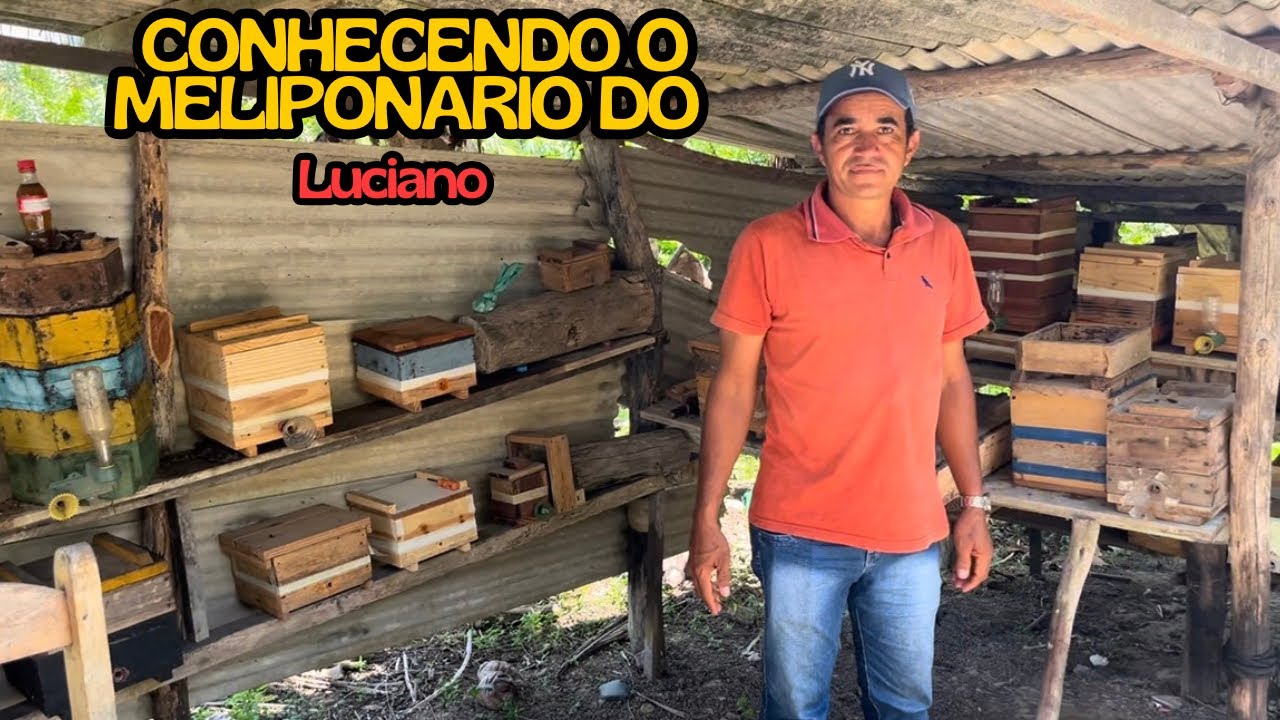 Visita no MELIPONÁRIO do Luciano e conhecendo um pouco das suas abelhas e história de meliponicultor