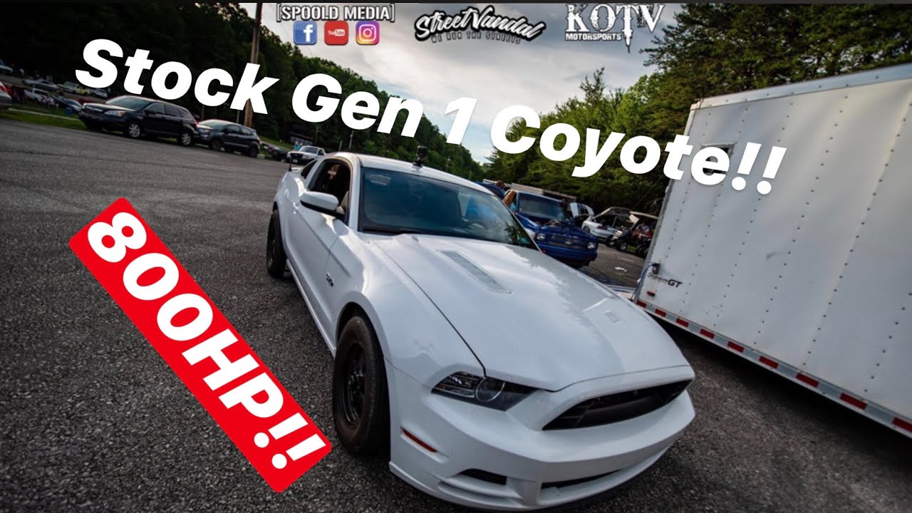 How my 800HP STOCK Gen 1 Coyote Stays Alive!!
