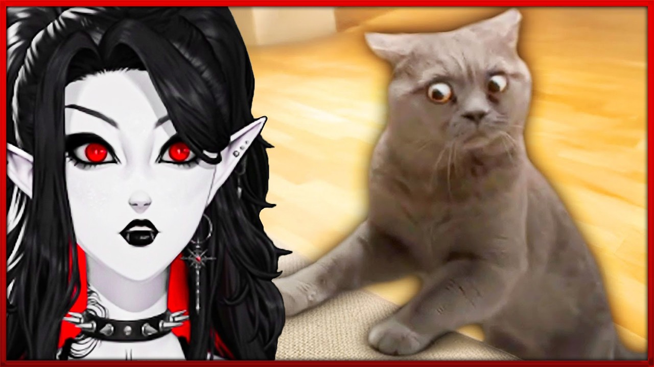 These are the BEST Cat Videos Of The Decade  ☠️  | Reaction