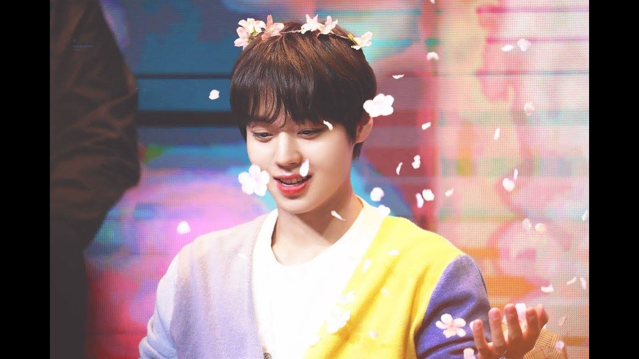 Reasons to love Park Jihoon (part 3 - personalities) [EN/VN]