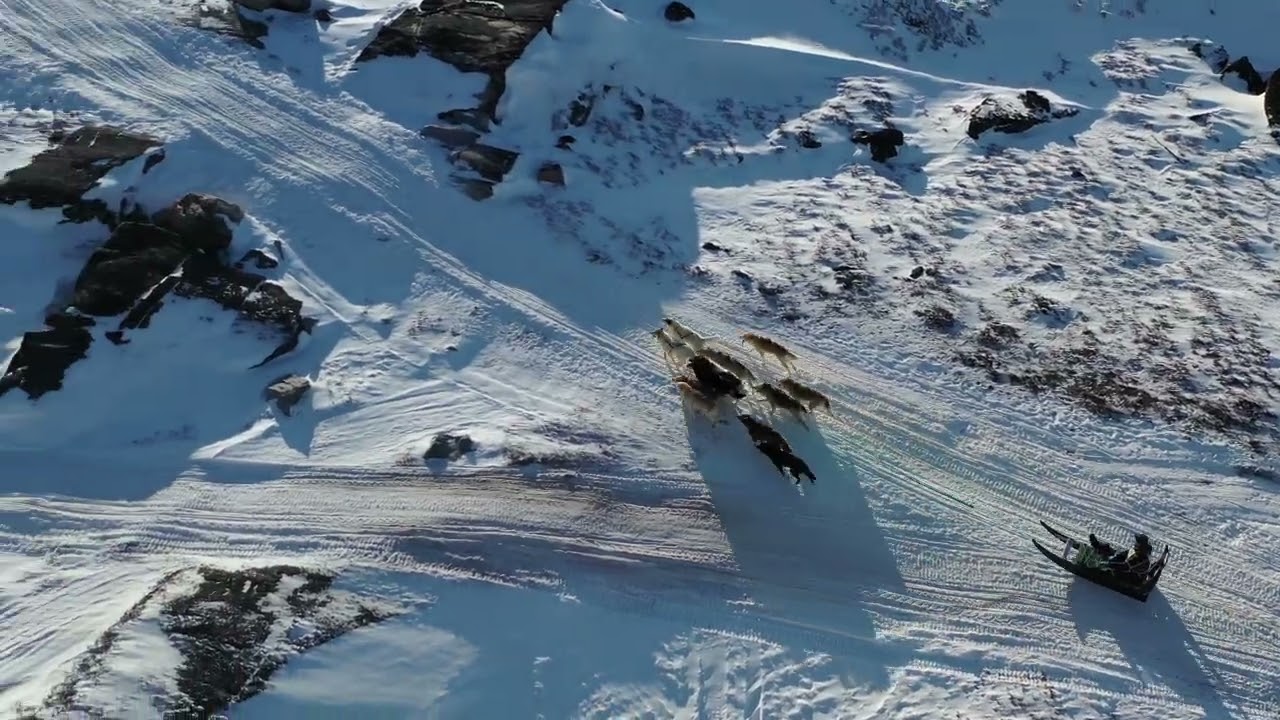 Avannaata Qimussersuanut Anngunniuunneq 2026 Ilulissat Greenland