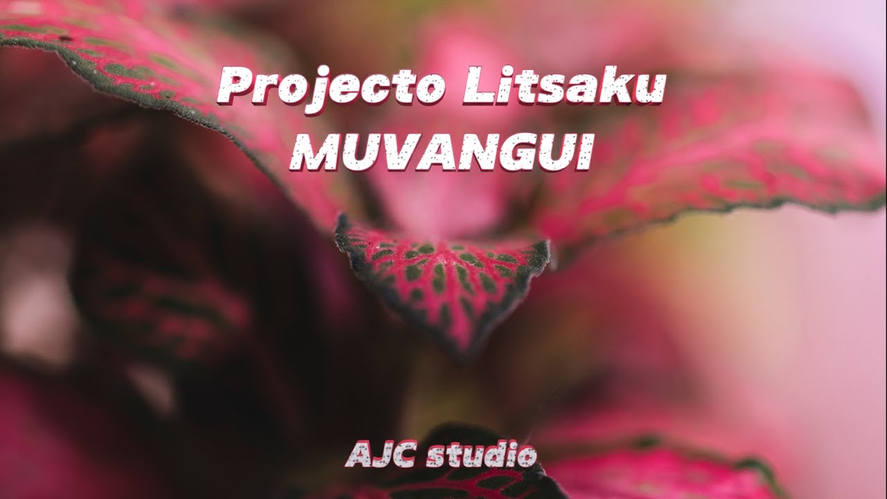 PROJETO LITSAKU - MUVANGUI (Vídeo oficial)