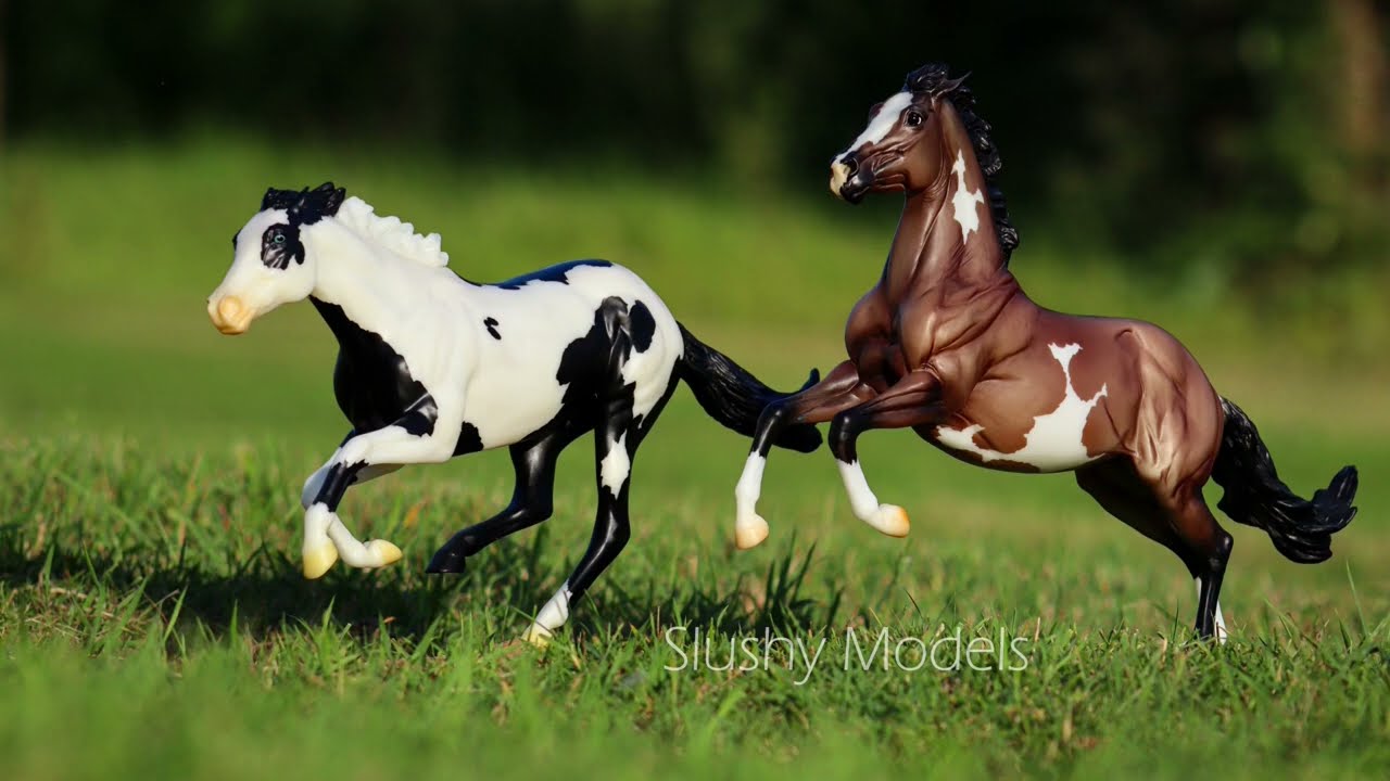 Model photography 2024 (Schleich, Breyer, etc.)
