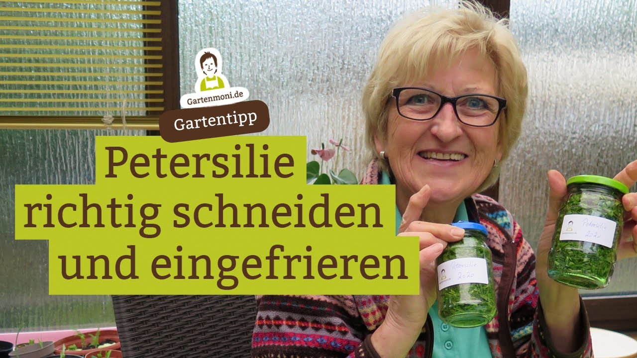 Petersilie das ganze Jahr: Tiefkühl-Petersilie selbst gemacht - ernten, schneiden, eingefrieren