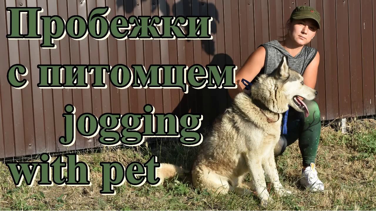 Пробежки с питомцем Jogging with pet (English subtitles)