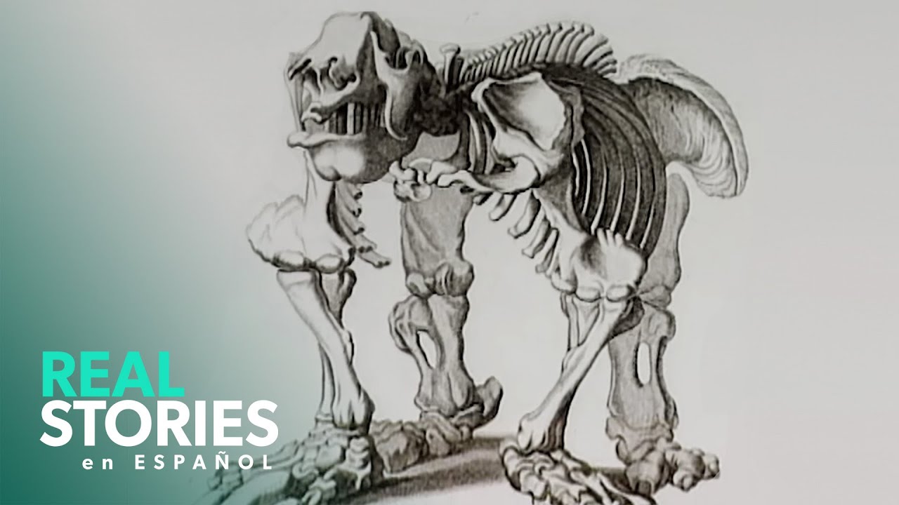 Los Primeros Fósiles De Dinosaurios: Un Descubrimiento Revolucionario