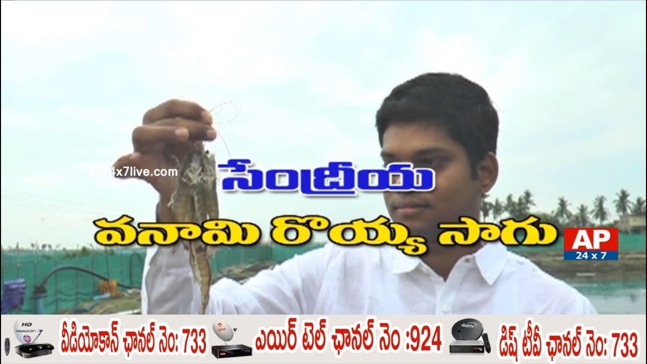 Success Story Of Ideal Farmer Bobba Kiran Vanami Shrimp Cultivation | Rythu Ratham | AP24x7