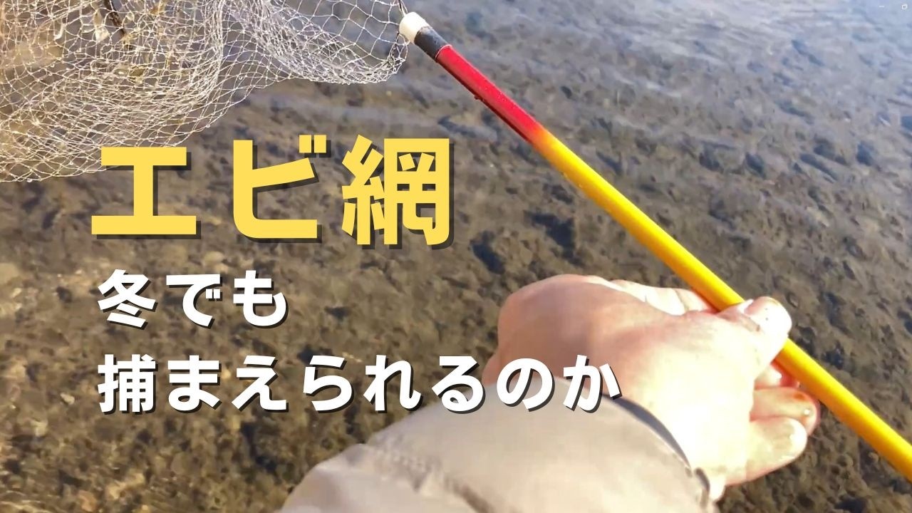 冬なのに「エビ網」を試してみる