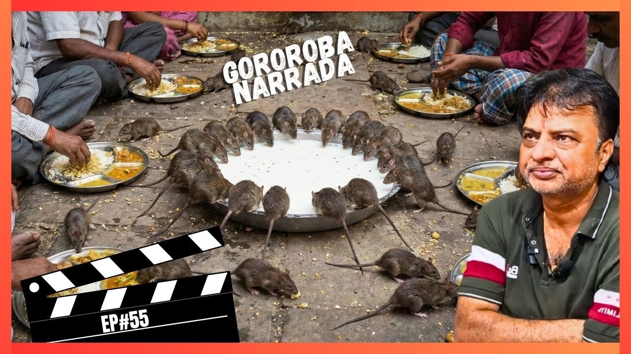 Hoje tá nível HARD! As Cenas Mais Bizarras da Comida de Rua da Índia (EP 55)
