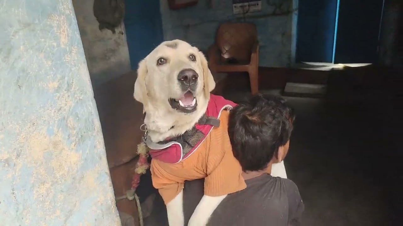 Masti ❤️