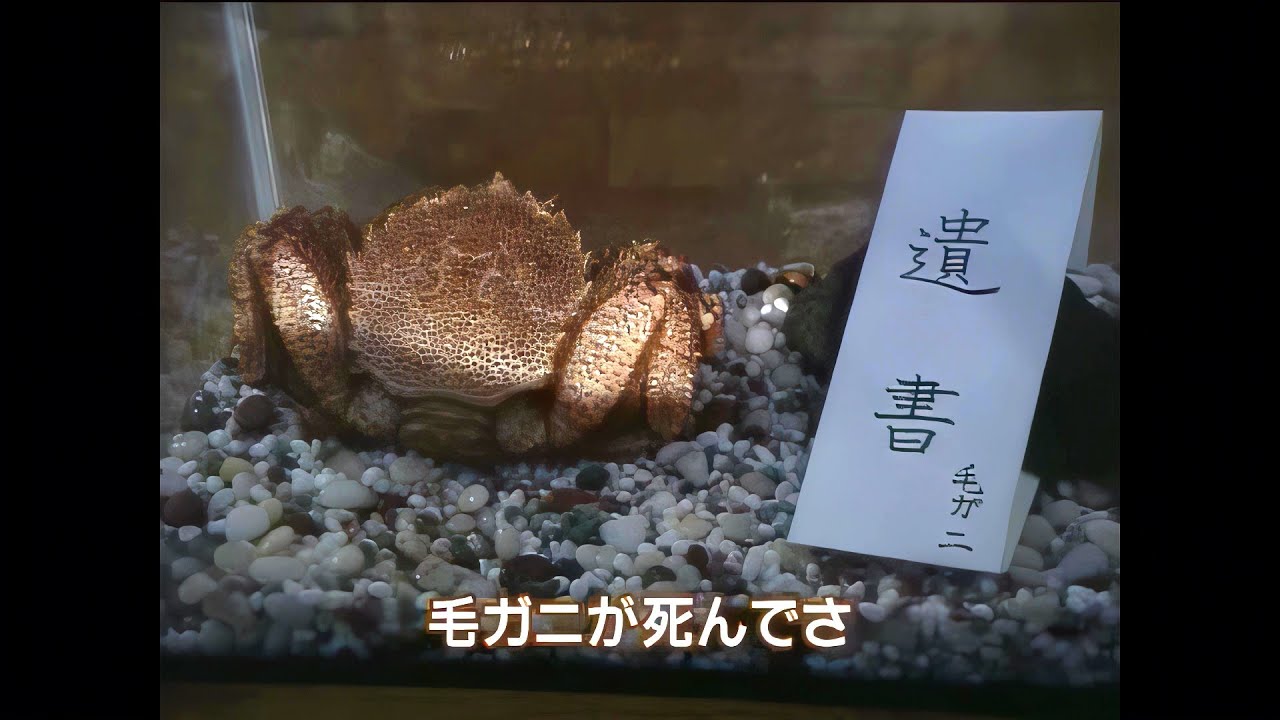 【空耳アワー】アナ・ディー　毛ガニが死んでさ