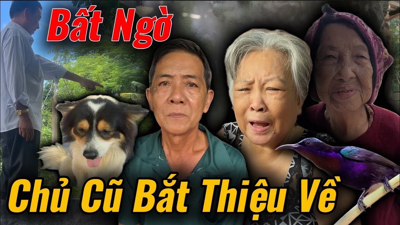 Bất Ngờ, Chủ Cũ Tìm Đến Nhà Chú Út Đưa Thiệu Đi Gấp Gì Chuyện Này