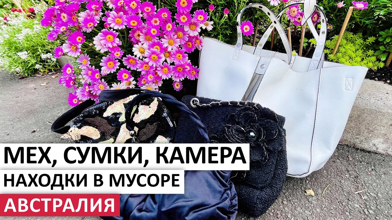 БЕСПЛАТНО ZARA,CANON,SONY,TEAC,LOGITECH НА УЛИЦАХ СИДНЕЯ #австралия #шпермюль #находки #vintage