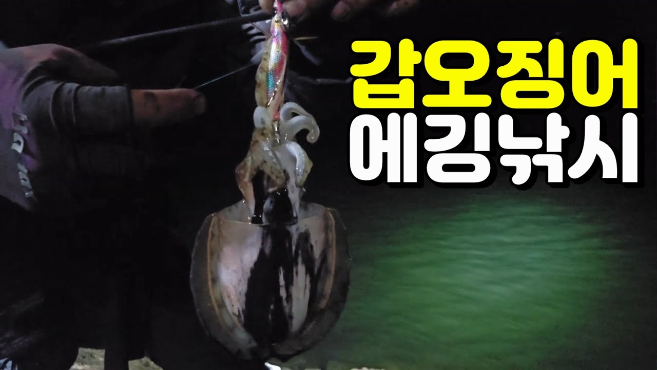 워킹에서 이게가능? 갑오징어 난리났네  갑오징어에깅낚시 시작