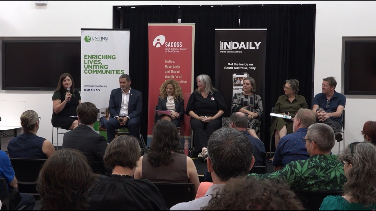 'Balancing Power' Legislative Council panel
