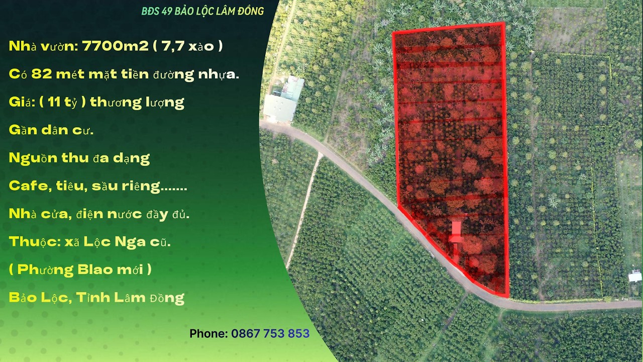 ( Pass 20 ) Nhà vườn:7700m2 ( 7,7xào ). Thuộc xã Lộc Nga ( Phường Blao mới ) Bảo Lộc, tỉnh Lâm Đồng.