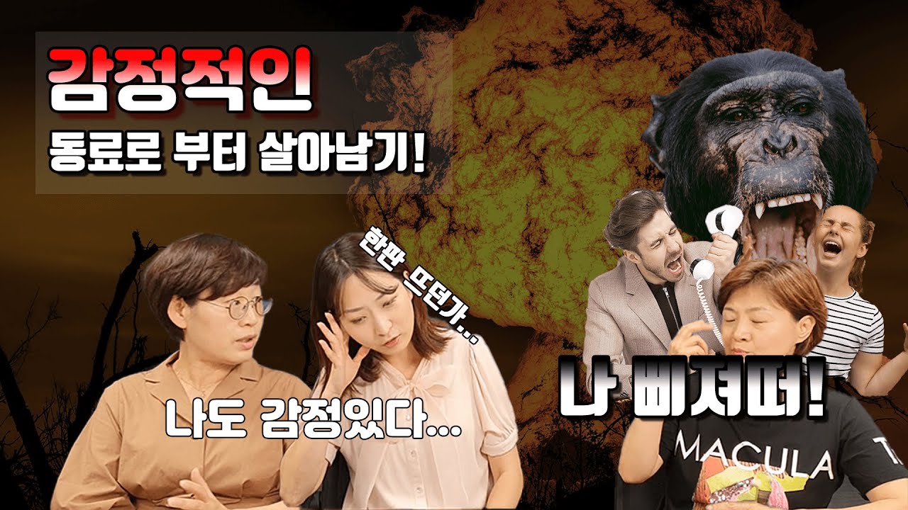 EP06. 툭하면 욱하는 동료에게 오늘도 상처 받으셨나요!? 3가지만 알자! 당신의 회사 생활이 달라진다|어른 친구