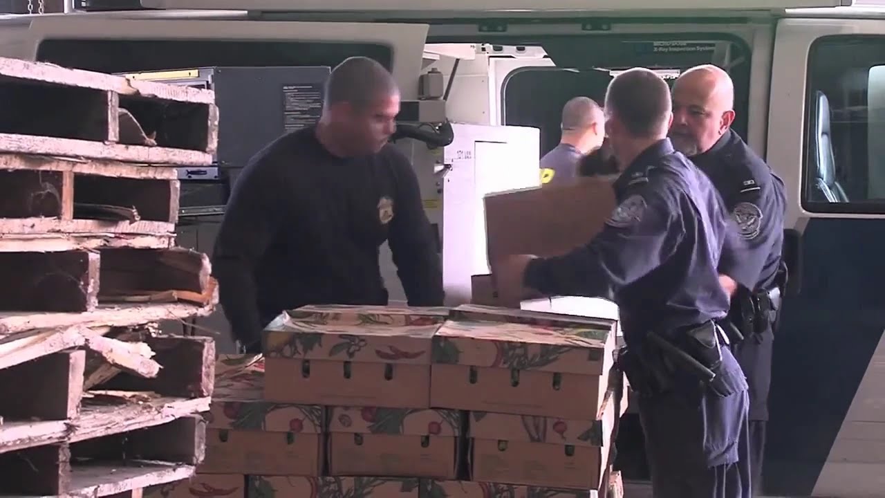 U.S. Customs & Border Protection Cargo Inspections