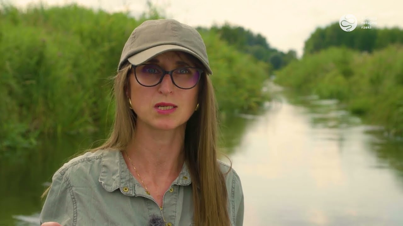 RENATURYZACJA ŁAGODZI SUSZĘ - ekspertka wyjaśnia dlaczego zdrowe rzeki zwiększają odporność na suszę