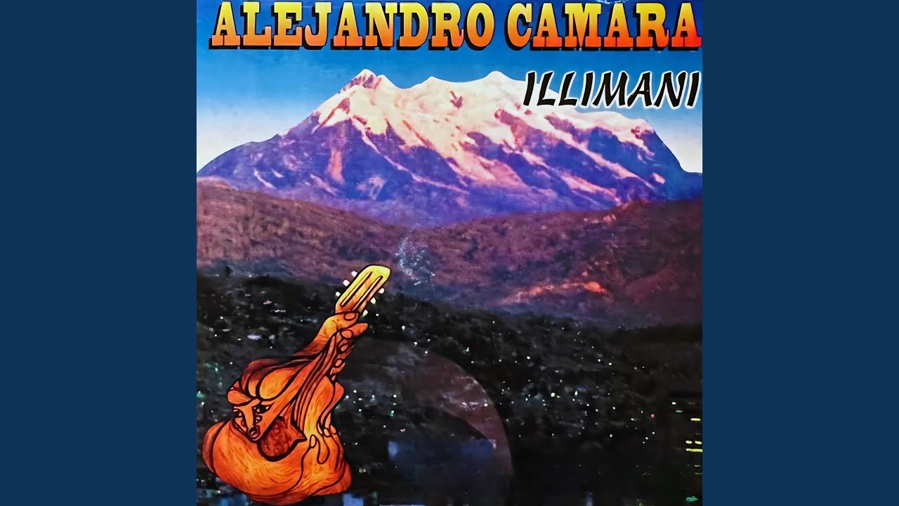 Vicuñita