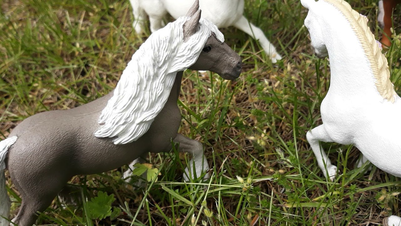 Schleich Serie: Wild wilder Wildpferde 🐎 Folge : 3