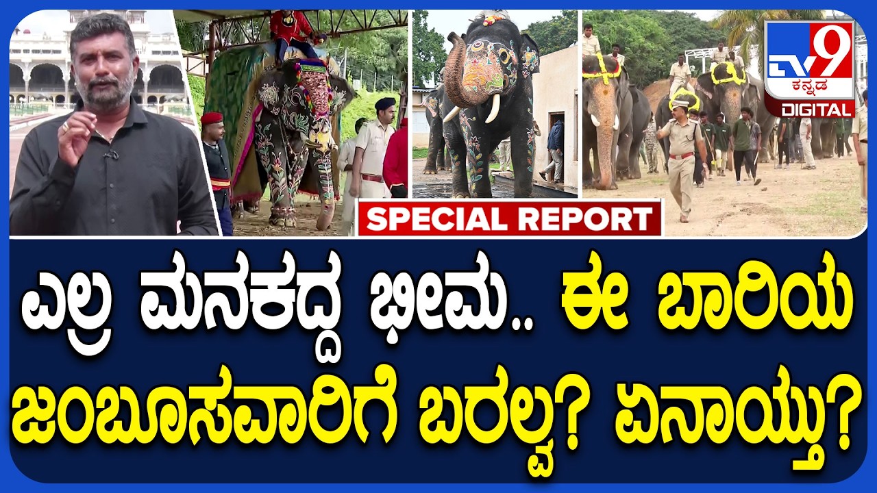 Mysuru Dasara 2026: ಭೀಮ ಅಂತಾ ಕೂಗಿದ್ರೆ ರಿಯಾಕ್ಟ್&zwnj; ಮಾಡುವ ಆನೆ.. ಜಂಬೂಸವಾರಿಗೆ ಸಿದ್ಧನಾಗಿಲ್ಲ ಯಾಕೆ?|#TV9D