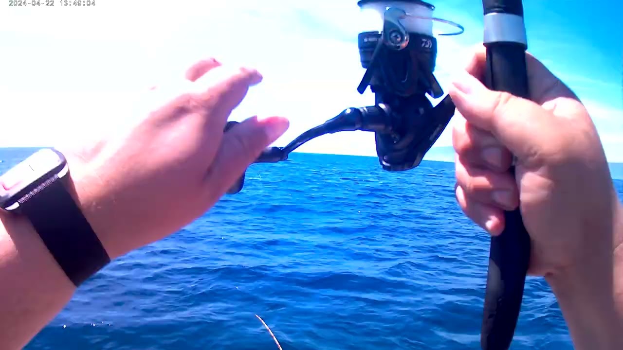 pesca ao choco Setúbal 4/2024 parte 1