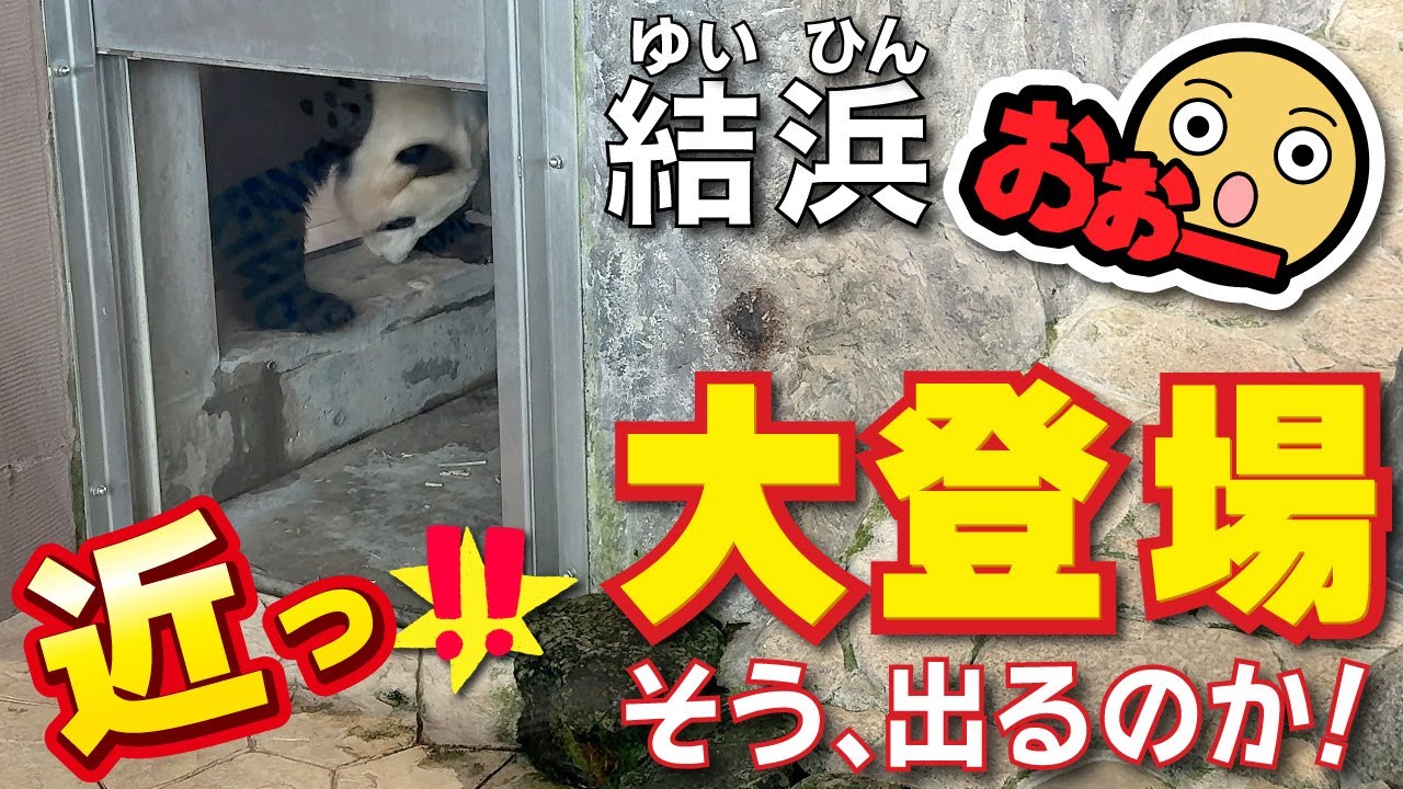 【結浜（ゆいひん）】外から左のお部屋へ移動の結浜🎀に大接近‼️出入り口の中ってそうなっているのかっ😳