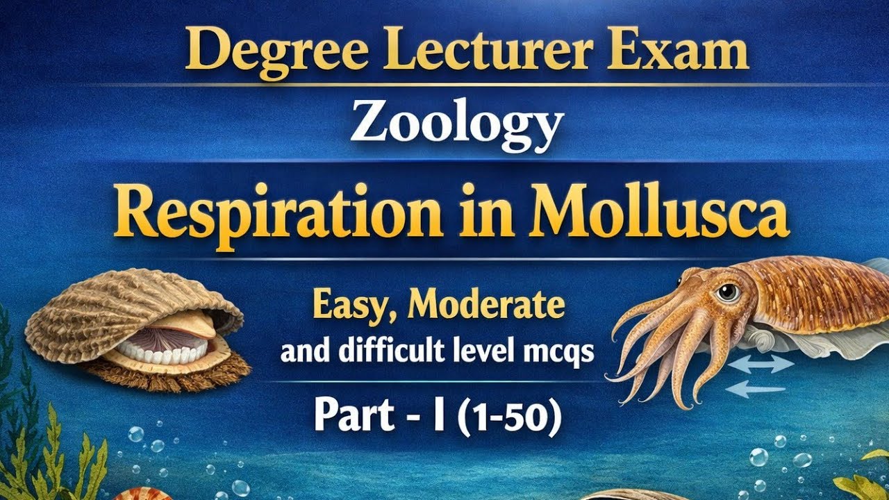 Respiration in Mollusca