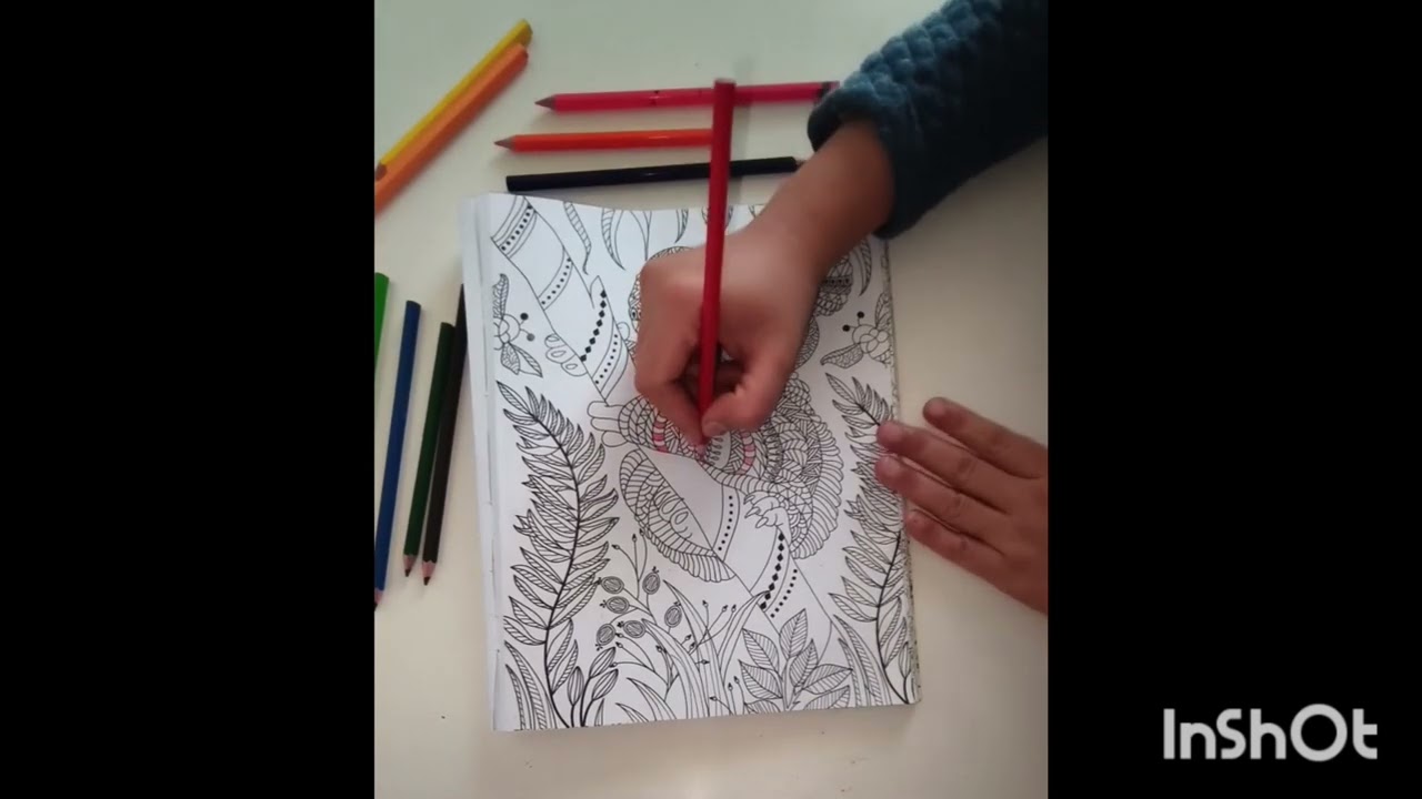 “Patience and colors create magic.”