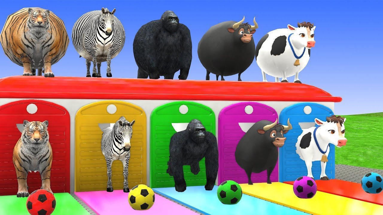 Long Slide Game With Cow Elephant Gorilla Hippopotamus Tiger 3d Animal Game | Funny 3D Animals