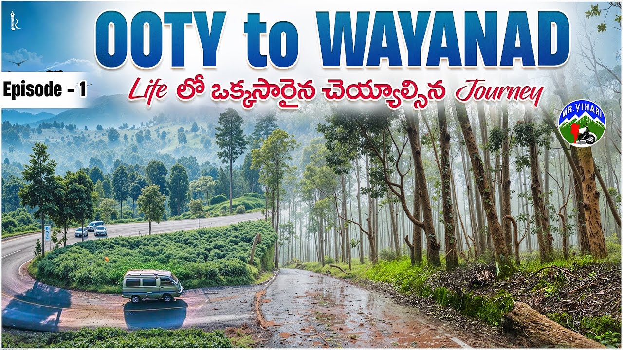 Ooty to Wayanad road trip via Gudalur Mudumalai forest | Monsoon ride to Wayanad |