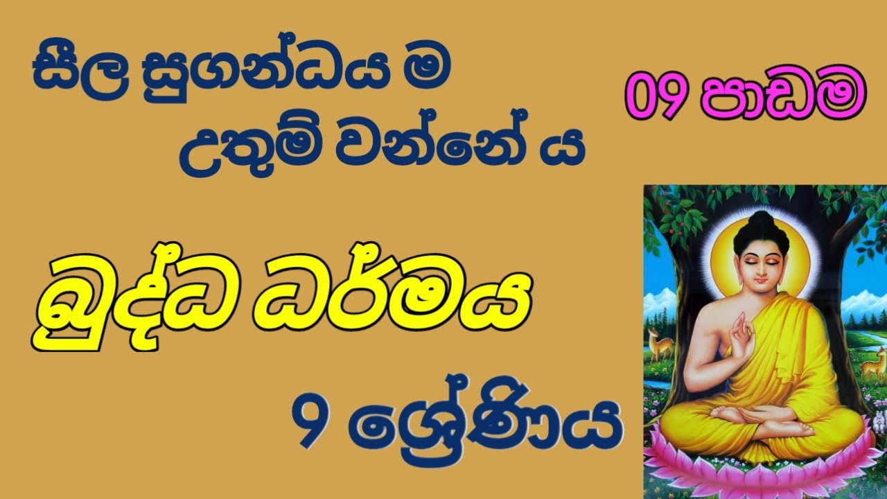 Grade 9 / Buddhism / 9th Lesson