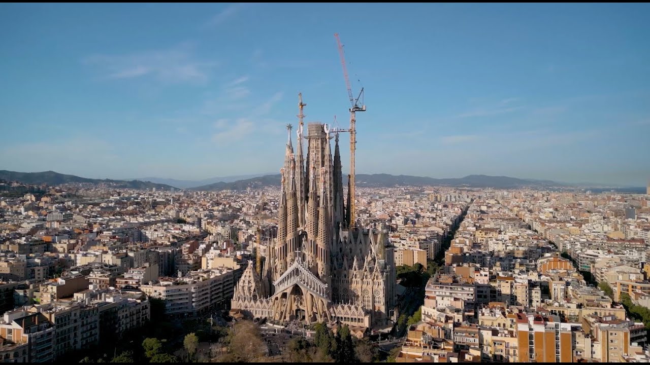 New crane (2024)