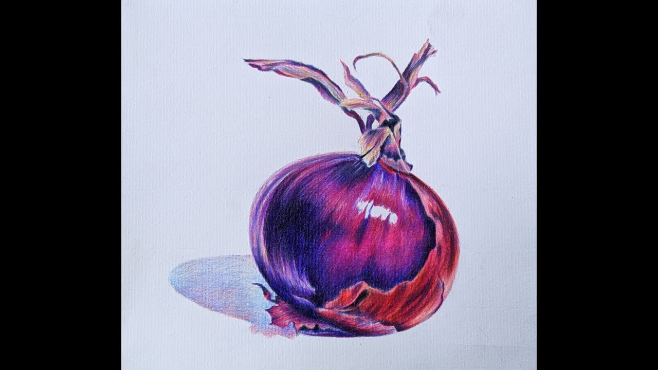 Clase de lápices de colores - Cebolla morada